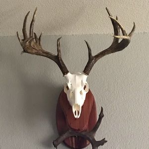 Meet your Posher, Stephen